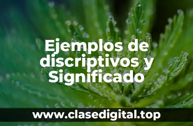 Ejemplos de discriptivos y Significado