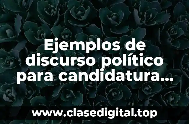 Ejemplos de discurso político para candidatura peru