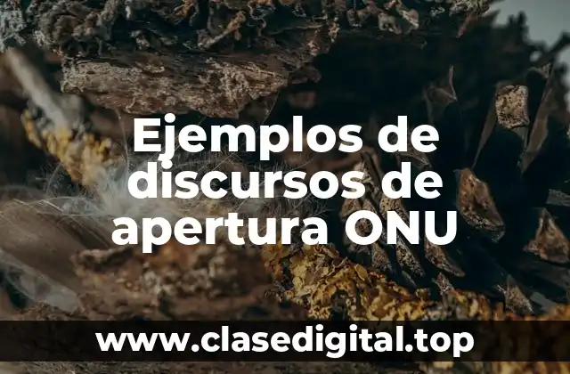 Ejemplos de discursos de apertura ONU