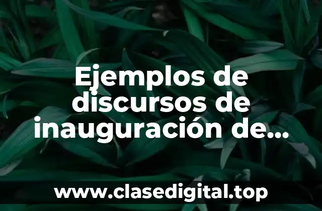 Ejemplos de discursos de inauguración de obras