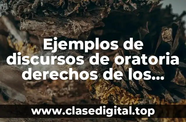 Ejemplos de discursos de oratoria derechos de los niños