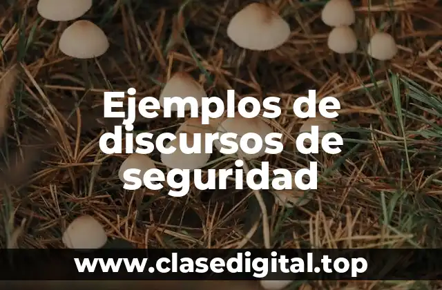 Ejemplos de discursos de seguridad