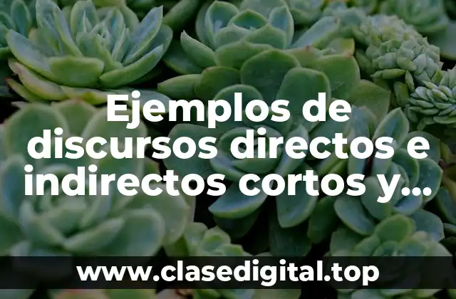 Ejemplos de discursos directos e indirectos cortos y Significado