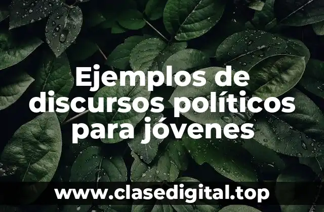Ejemplos de discursos políticos para jóvenes