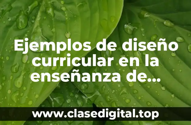Ejemplos de diseño curricular en la enseñanza de lenguas extranjeras