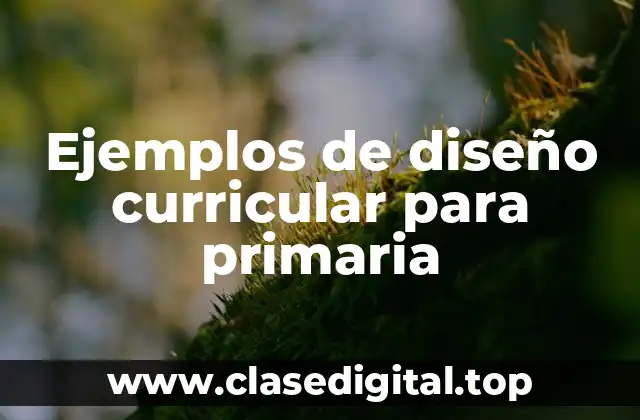 Ejemplos de diseño curricular para primaria