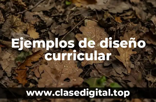 Ejemplos de diseño curricular