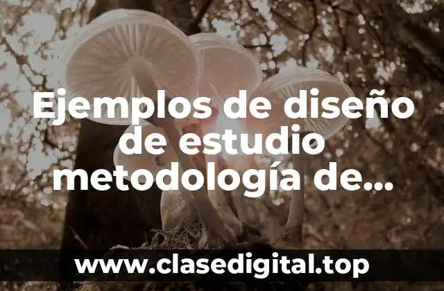 Ejemplos de diseño de estudio metodología de investigación