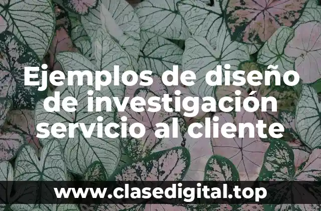Ejemplos de diseño de investigación servicio al cliente