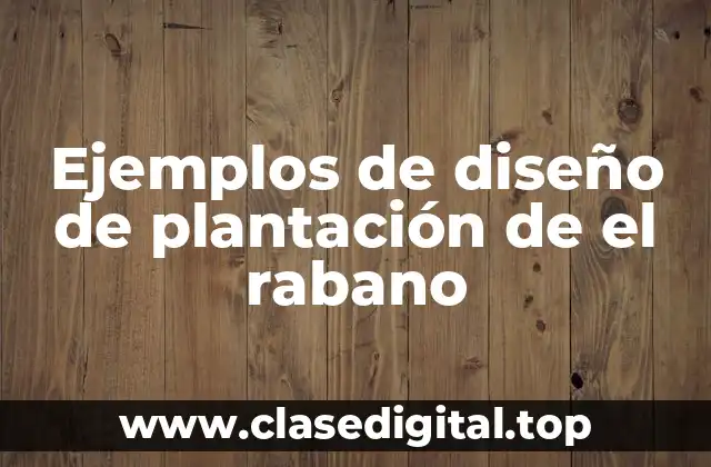 Ejemplos de diseño de plantación de el rabano