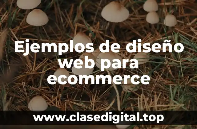 Ejemplos de diseño web para ecommerce