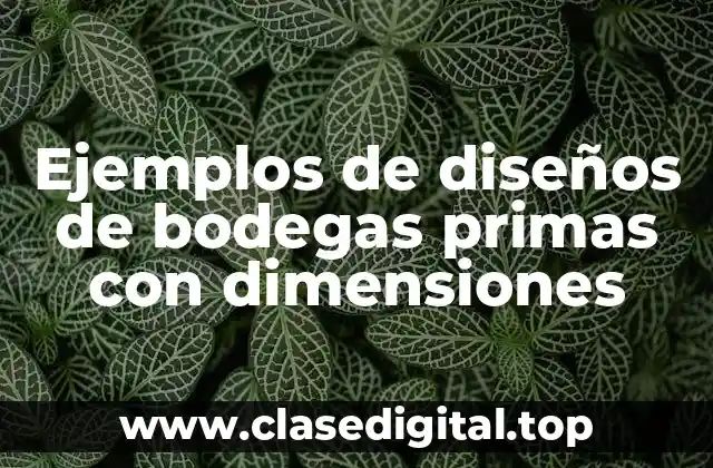 Ejemplos de diseños de bodegas primas con dimensiones