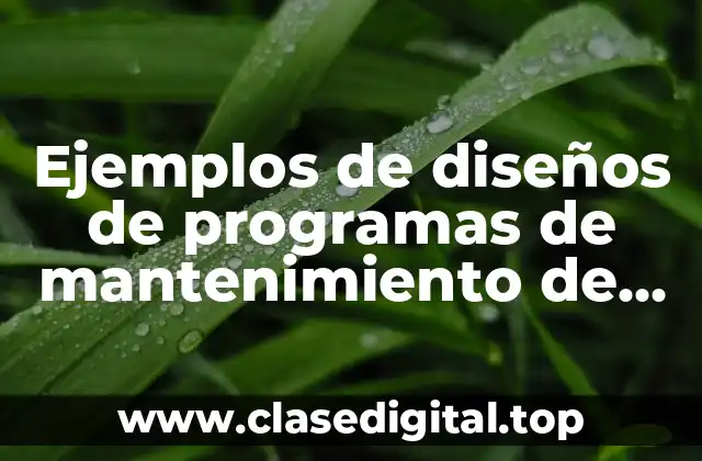 Ejemplos de diseños de programas de mantenimiento de motobombas