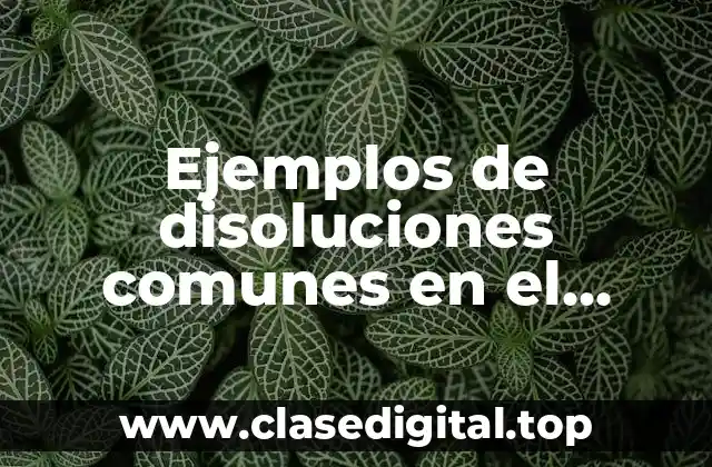 Ejemplos de disoluciones comunes en el entorno y Significado