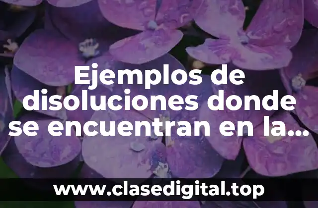 Ejemplos de disoluciones donde se encuentran en la naturaleza y Significado