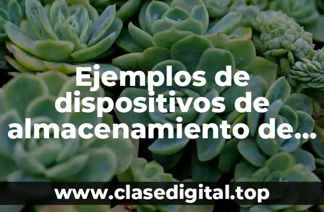 Ejemplos de dispositivos de almacenamiento de una computadora