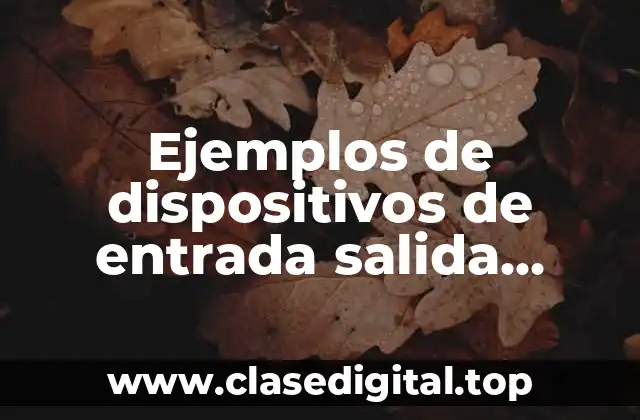 Ejemplos de dispositivos de entrada salida almacenamiento y procesamiento