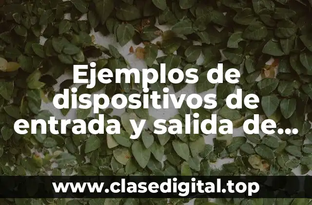 Ejemplos de dispositivos de entrada y salida de información y Significado
