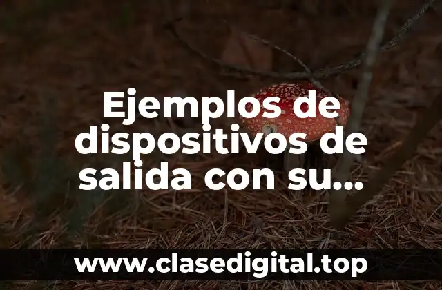 Ejemplos de dispositivos de salida con su función