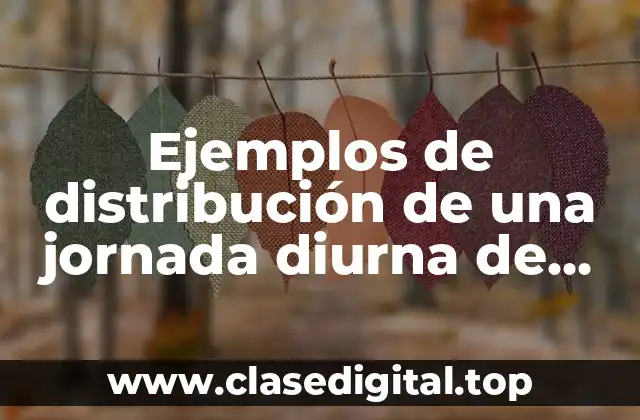 Ejemplos de distribución de una jornada diurna de trabajo