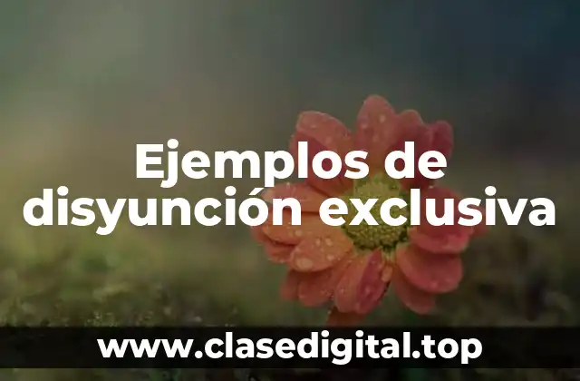 Ejemplos de disyunción exclusiva