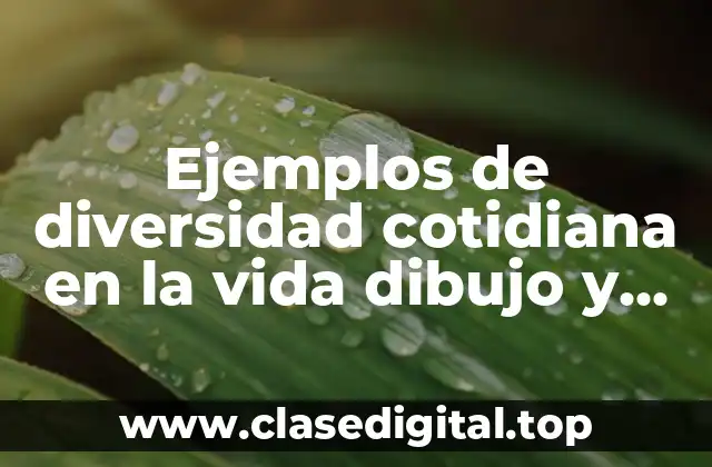 Ejemplos de diversidad cotidiana en la vida dibujo y Significado
