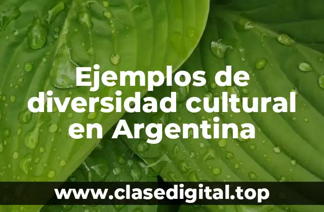 Ejemplos de diversidad cultural en Argentina