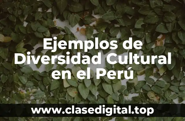 Ejemplos de Diversidad Cultural en el Perú