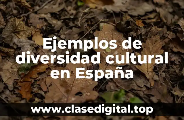 Ejemplos de diversidad cultural en España