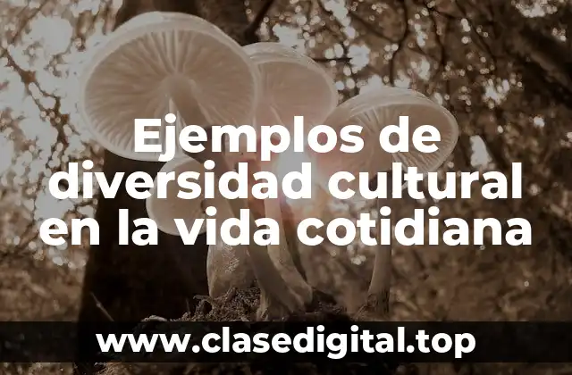 Ejemplos de diversidad cultural en la vida cotidiana