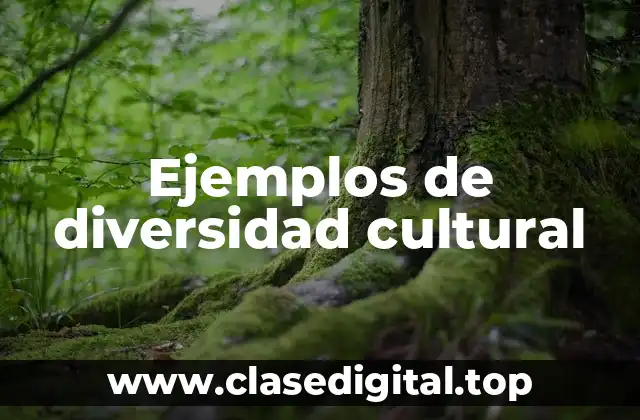Ejemplos de diversidad cultural