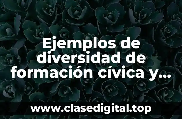 Ejemplos de diversidad de formación cívica y ética y Significado