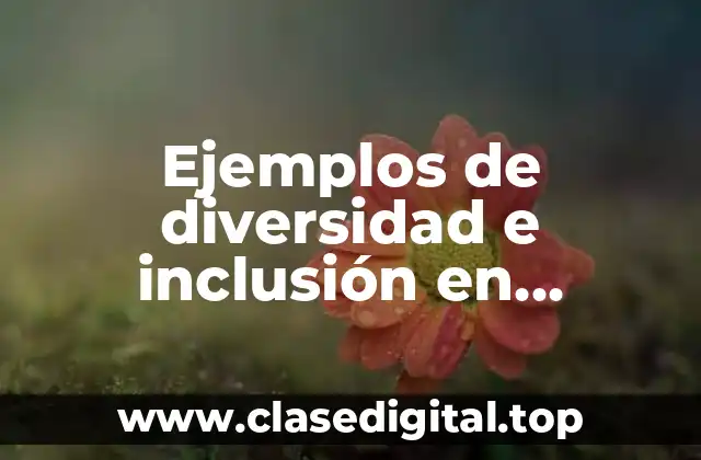 Ejemplos de diversidad e inclusión en empresas y Significado