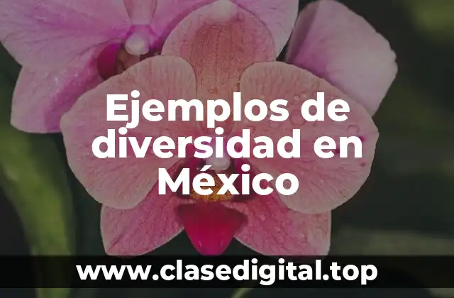 Ejemplos de diversidad en México