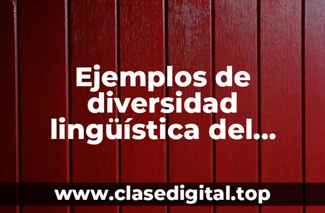 Ejemplos de diversidad lingüística del español y Significado