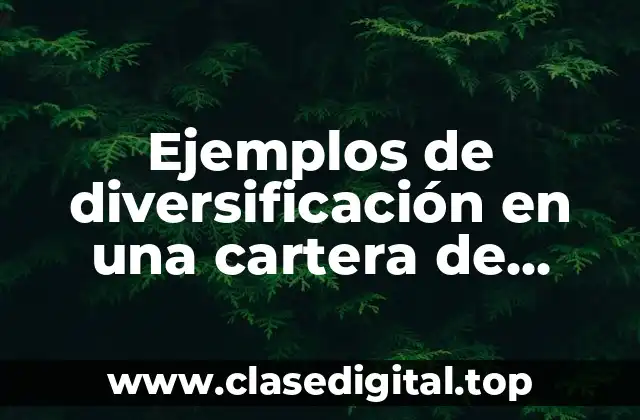 Ejemplos de diversificación en una cartera de inversiones y Significado