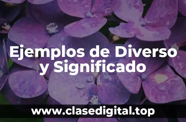 Ejemplos de Diverso y Significado