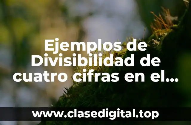 Ejemplos de Divisibilidad de cuatro cifras en el dividendo