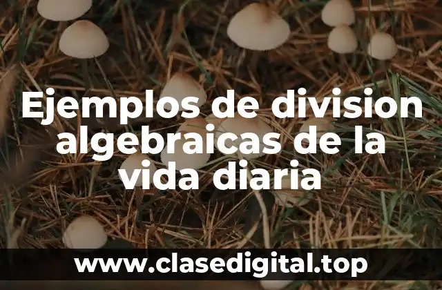 Ejemplos de division algebraicas de la vida diaria