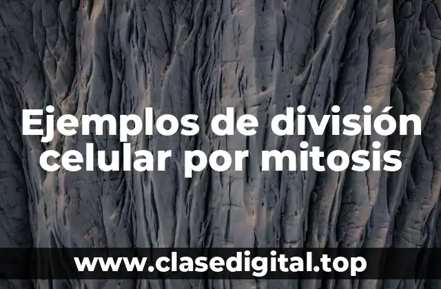 Ejemplos de división celular por mitosis