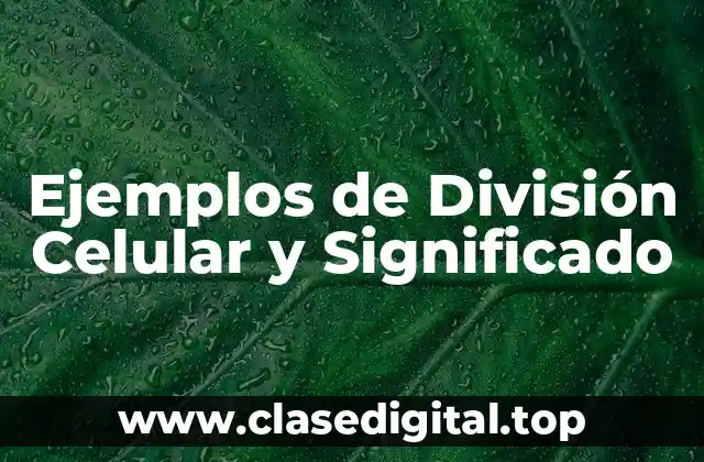 Ejemplos de División Celular y Significado