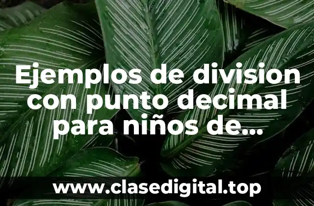 Ejemplos de division con punto decimal para niños de primaria y Significado