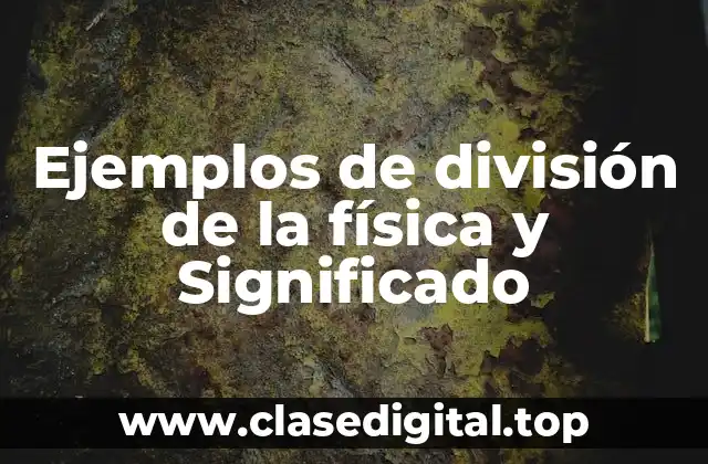 Ejemplos de división de la física y Significado