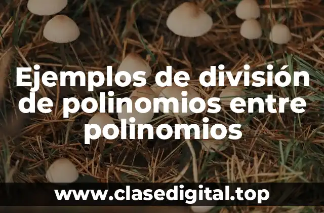 Ejemplos de división de polinomios entre polinomios