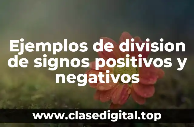 Ejemplos de division de signos positivos y negativos
