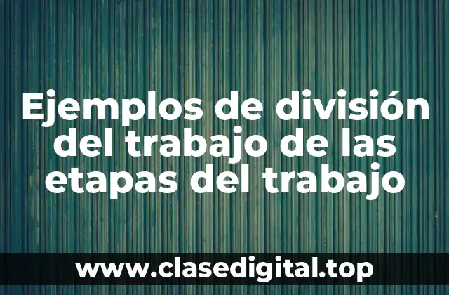 Ejemplos de división del trabajo de las etapas del trabajo
