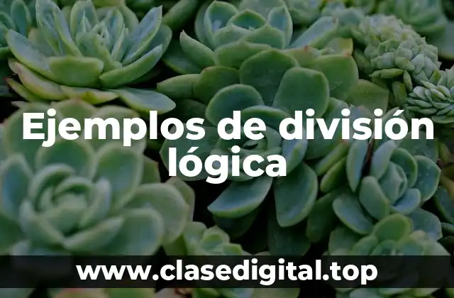 Ejemplos de división lógica