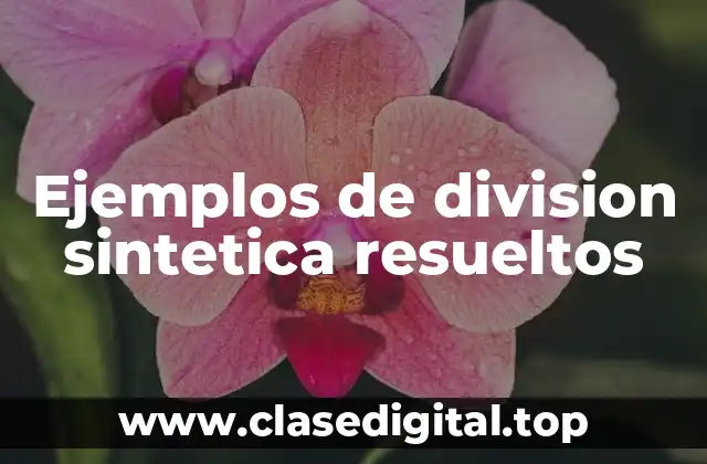 Ejemplos de division sintetica resueltos