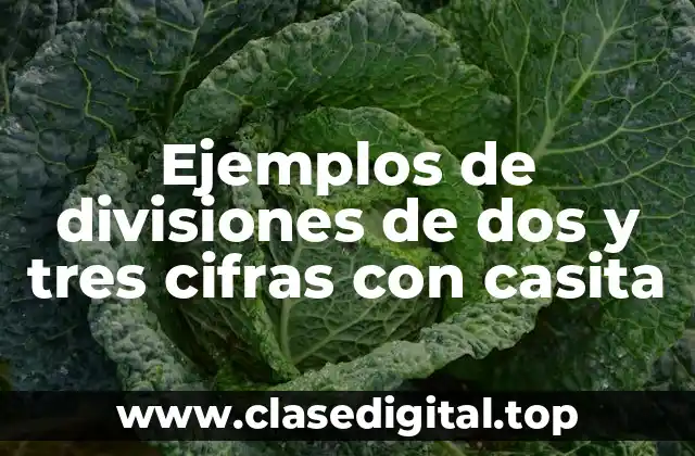 Ejemplos de divisiones de dos y tres cifras con casita