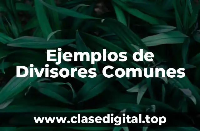 Ejemplos de Divisores Comunes